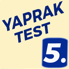5. Sınıf Yaprak Test
